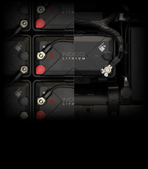 NLX31